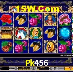 Casino Ao Vivo Pk456